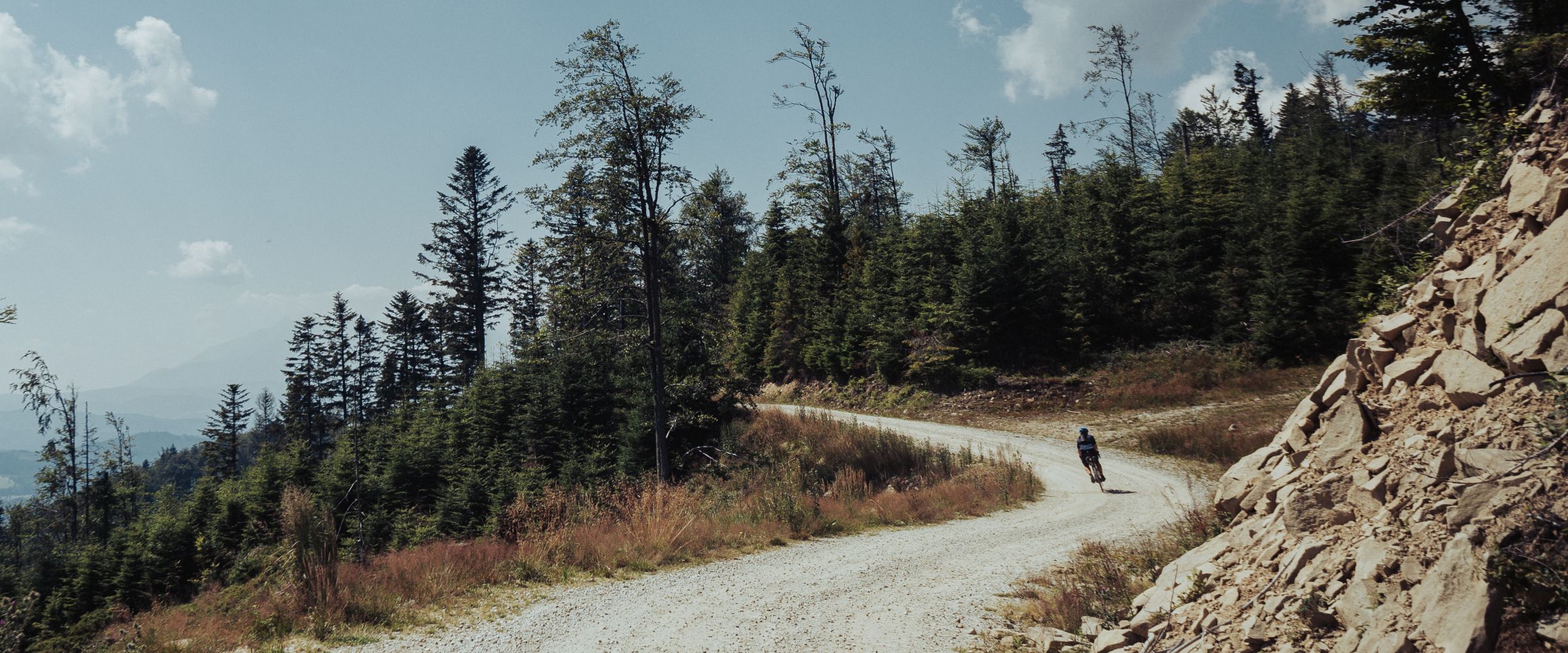 polish gravel bike